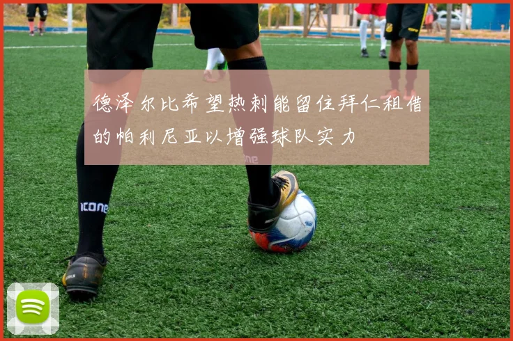 德泽尔比希望热刺能留住拜仁租借的帕利尼亚以增强球队实力